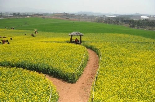 20160414002950_0_99_20160415100307.jpg?type=w540