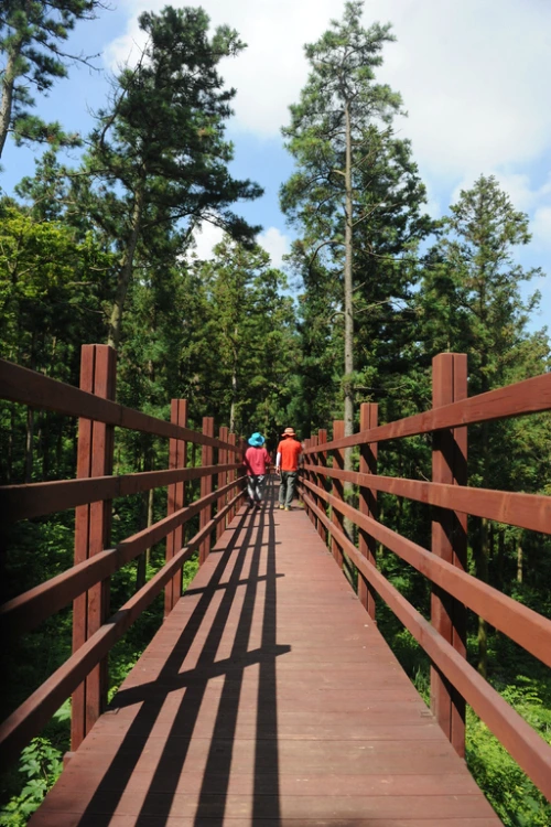 20160713002661_0_99_20160714100417.jpg?type=w540