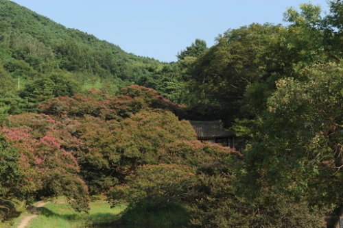 20160831002805_0_99_20160901140314.jpg?type=w540