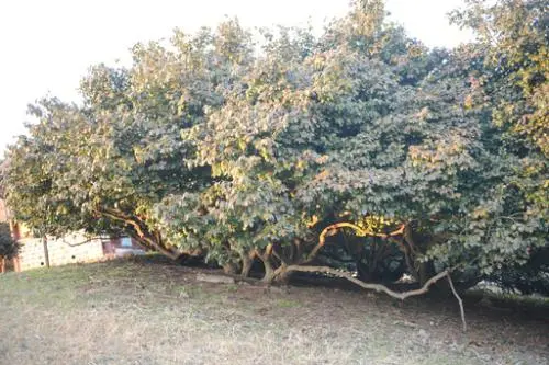 20160225003131_0_99_20160225193104.jpg?type=w540