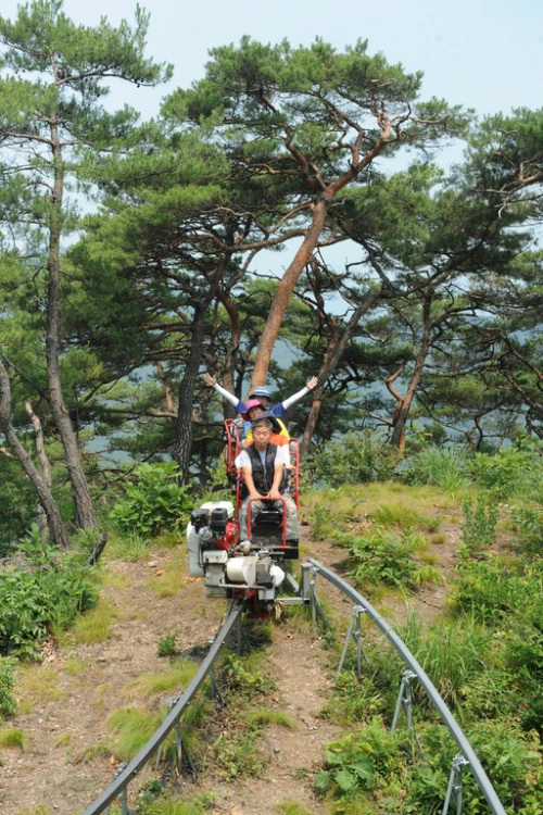 20160622002786_0_99_20160623100423.jpg?type=w540