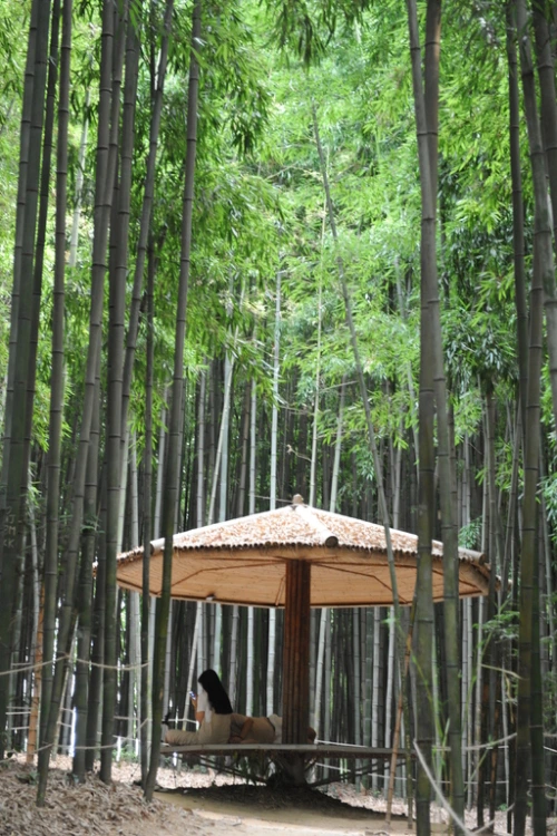 20160831002808_0_99_20160901140314.jpg?type=w540