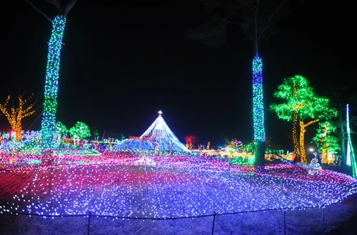 20160324003024_0_99_20160325103220.jpg?type=w540