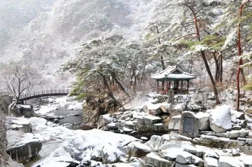 20160121003175_0_99_20160122100411.jpg?type=w540