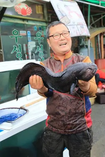 20160211002547_0_99_20160212143313.jpg?type=w540