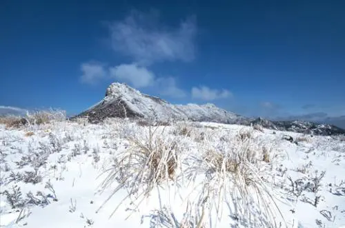 20160121003284_0_99_20160122100421.jpg?type=w540