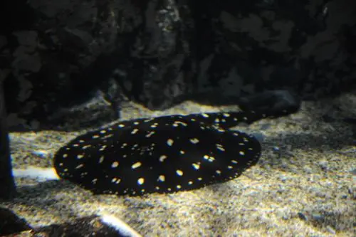 20160218002660_0_99_20160219100312.jpg?type=w540