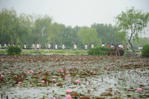 20160602002640_0_99_20160603100205.jpg?type=w540