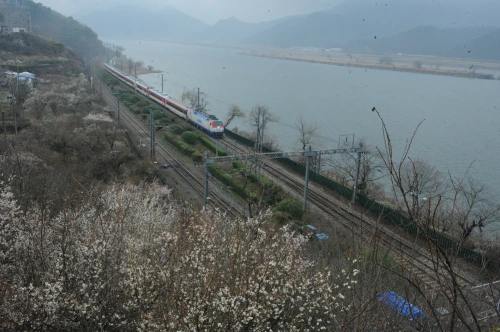 20160310002806_0_99_20160311103214.jpg?type=w540