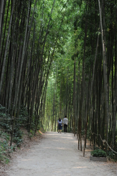 20160831002785_0_99_20160901140314.jpg?type=w540