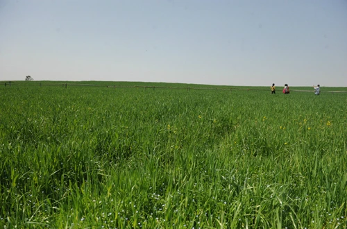 20160414002931_0_99_20160415100307.jpg?type=w540