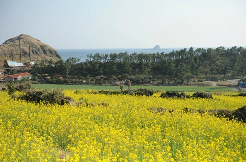 20160331002964_0_99_20160401103311.jpg?type=w540