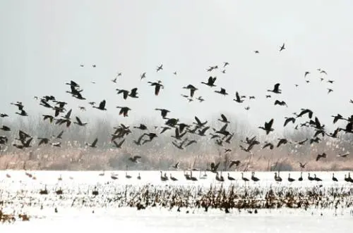 20160121003282_0_99_20160122100421.jpg?type=w540