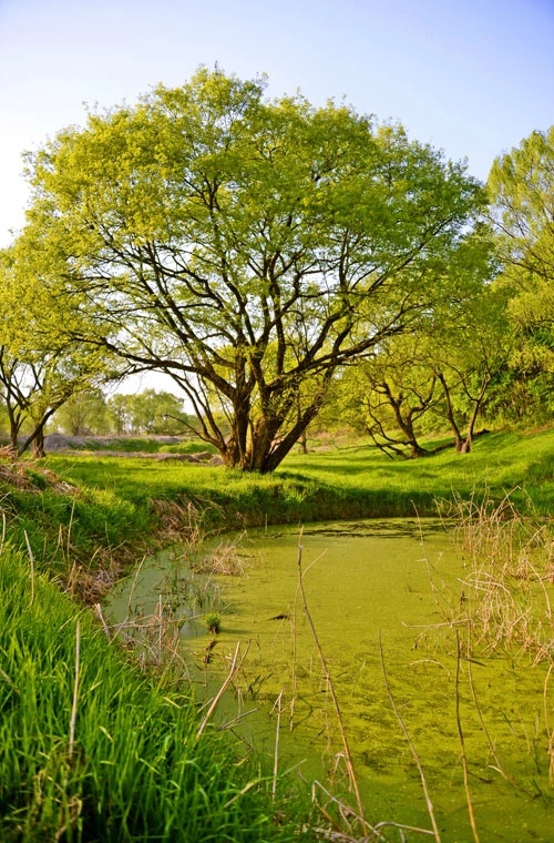 20160505001261_0_99_20160511170906.jpg?type=w540