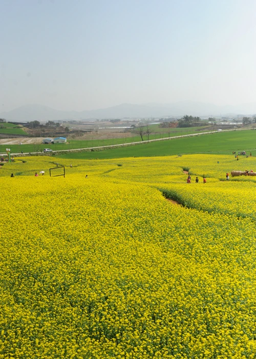 20160414002951_0_99_20160415100307.jpg?type=w540