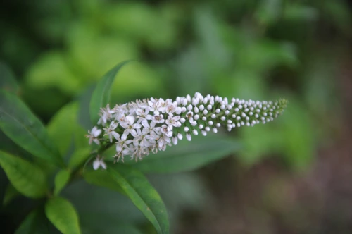 20160720002819_0_99_20160721140528.jpg?type=w540