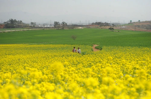 20160414002952_0_99_20160415100307.jpg?type=w540