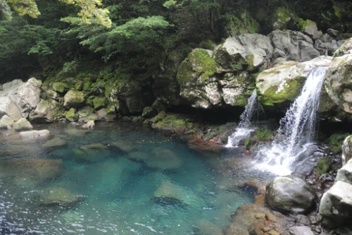 20160615002700_0_99_20160616100326.jpg?type=w540