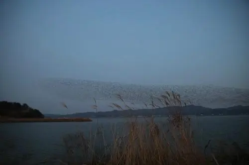 20160225003177_0_99_20160226130904.jpg?type=w540