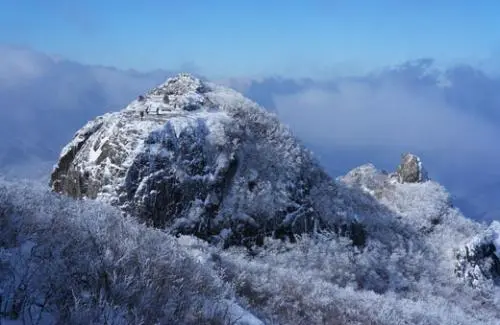 20160121003216_0_99_20160122100411.jpg?type=w540