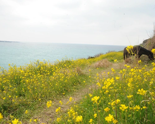 20160331002957_0_99_20160401103311.jpg?type=w540