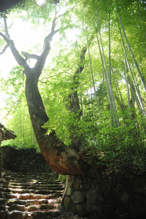 20160713002676_0_99_20160714100417.jpg?type=w540