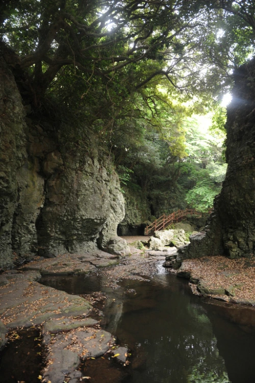 20160615002696_0_99_20160616100326.jpg?type=w540