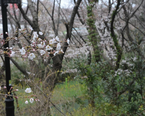 20160331002974_0_99_20160401103311.jpg?type=w540