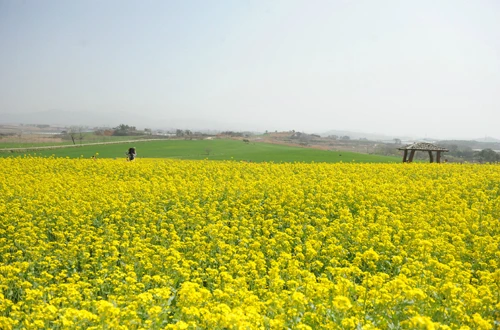 20160414002956_0_99_20160415100307.jpg?type=w540