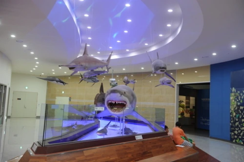 20160824002441_0_99_20160825140417.jpg?type=w540