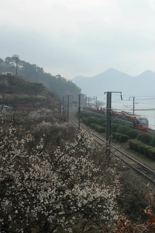 20160310002798_0_99_20160311103214.jpg?type=w540