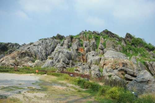 20160622002768_0_99_20160623100423.jpg?type=w540