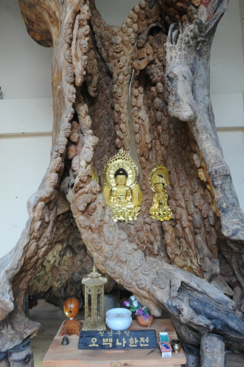 20160622002892_0_99_20160623100416.jpg?type=w540