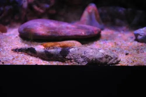 20160218002659_0_99_20160219100312.jpg?type=w540