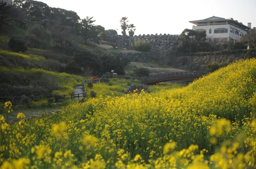 20160331002967_0_99_20160401103311.jpg?type=w540