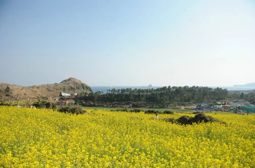 20160331002941_0_99_20160401103311.jpg?type=w540