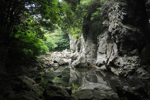 20160615002691_0_99_20160616100326.jpg?type=w540