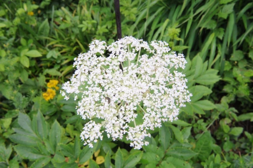 20160720002820_0_99_20160721140528.jpg?type=w540