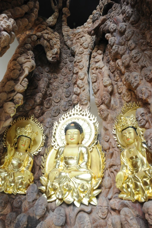 20160622002891_0_99_20160623100416.jpg?type=w540