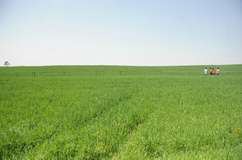 20160414002929_0_99_20160415100307.jpg?type=w540