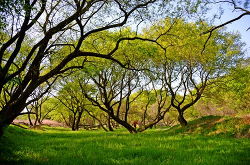 20160505001260_0_99_20160511170906.jpg?type=w540