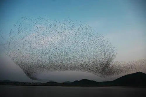 20160225003175_0_99_20160226130904.jpg?type=w540