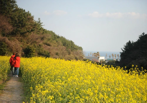 20160331002968_0_99_20160401103311.jpg?type=w540