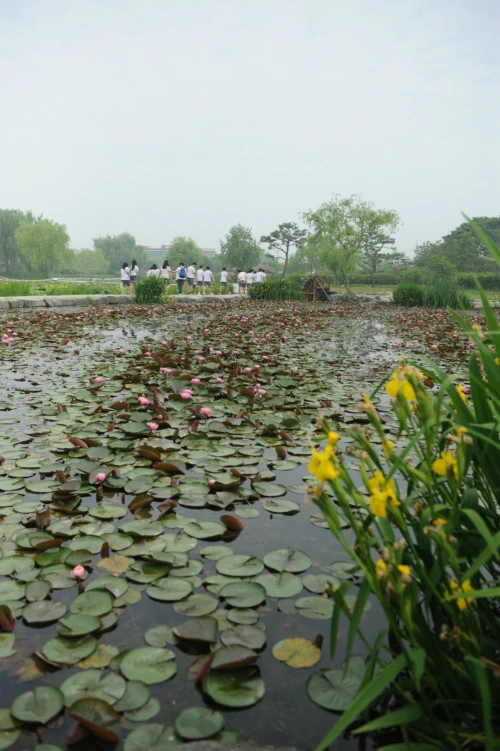 20160602002638_0_99_20160603100205.jpg?type=w540