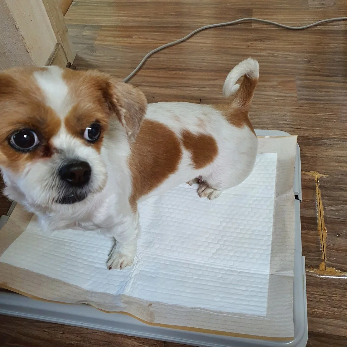 %EB%A6%AC%EC%82%AC%EC%9D%B4%ED%81%B4%EB%A7%81.jpg?type=w1200