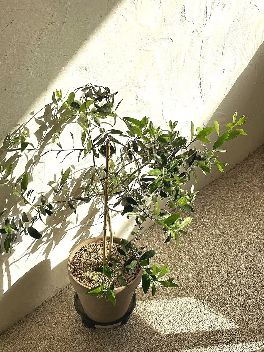 %EC%B9%9C%ED%99%98%EA%B2%BD%ED%9A%8C%EC%82%AC_%281%29.jpg?type=w1200