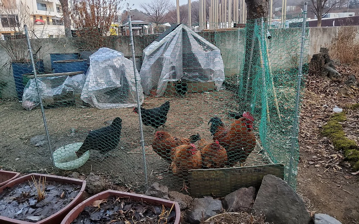 20210113_171803.jpg?type=w1200