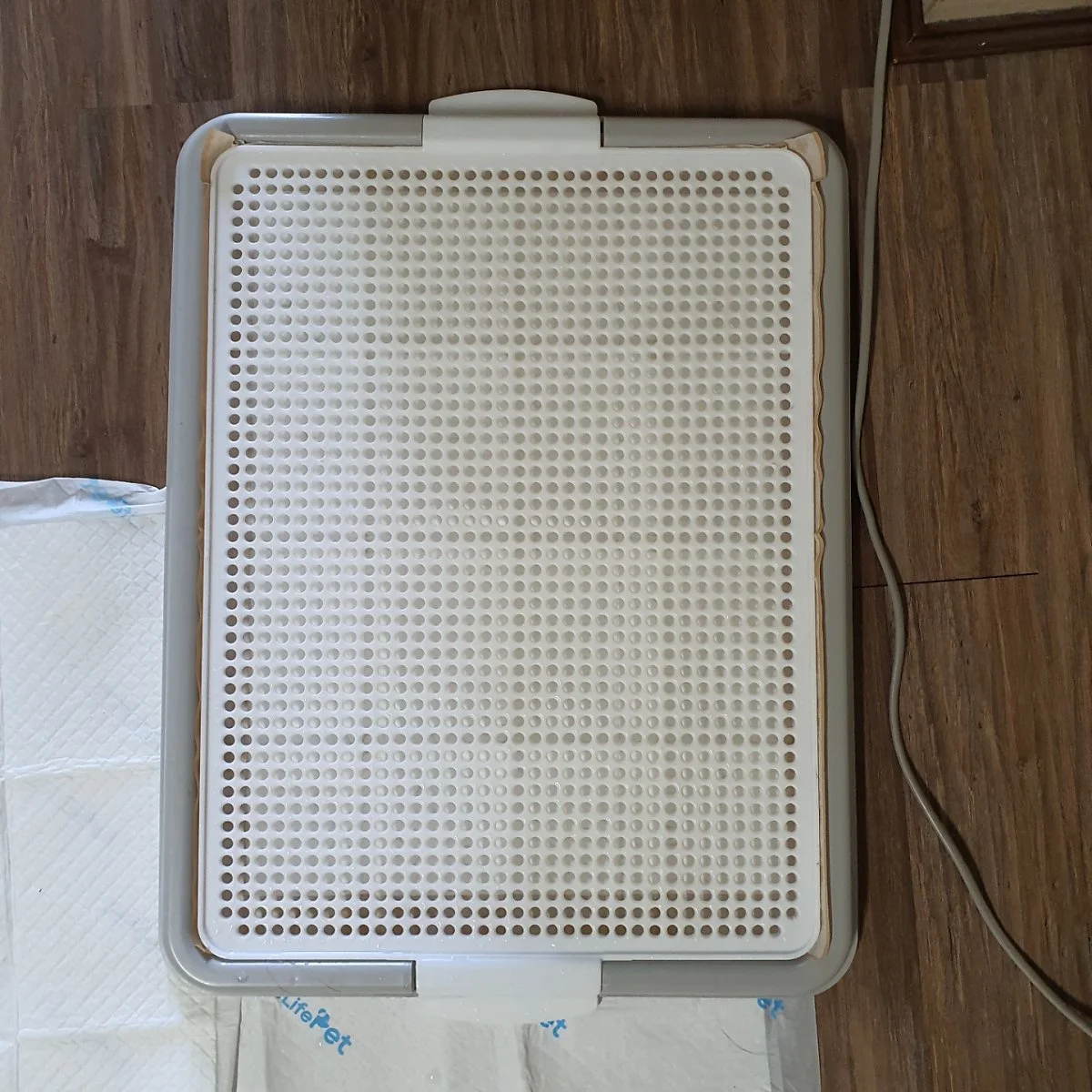 %EC%A7%80%EC%86%8D%EA%B0%80%EB%8A%A5%ED%95%9C_%282%29.jpg?type=w1200