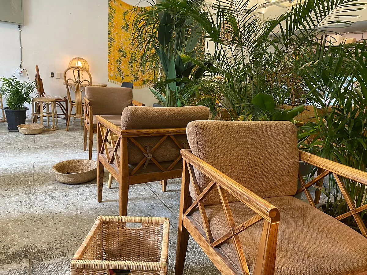 %EB%B9%84%EA%B1%B4%EB%B2%A0%EC%9D%B4%EC%BB%A4%EB%A6%AC_%281%29.jpeg?type=w1200