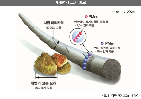 미세먼지 크기비교.PNG